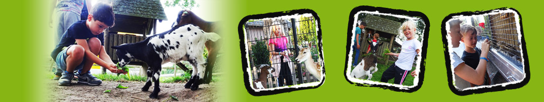 vakantiekamp - kinderboerderij